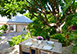 St. Barts Vacation Rental