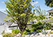 St. Barts Vacation Rental