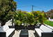 Villa Aya St. Barts Vacation Villa - Saint Jean
