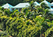 Villa Blue Lagoon St. Barts Vacation Villa - Grand Cul de Sac