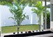 Villa Ginger St. Barts Vacation Villa - Petite Saline