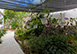 Villa Grain de Folie St. Barts Vacation Villa - Colombier