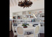 Villa Mia St. Barts Vacation Villa - Flamands