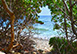 Villa Palm House St. Barts Vacation Villa - Anse des Lezards