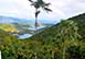 Esprit Boureaux Mountain St. John USVI