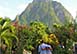 Holiday Rental St. Lucia