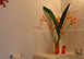 Villa Acacia St. Lucia Holiday Letting
