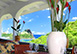 Villa Acacia St. Lucia Holiday Letting