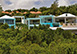 Grand Bleu Terres Basses St. Martin