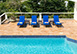 Joie de Vivre Terres Basses
