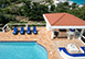 Joie de Vivre Terres Basses