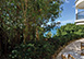 Caribbean Vacation Rental