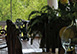 Caribbean Vacation Villa - Terres Basses, St. Martin