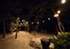 Sea Star Caribbean Vacation Villa - East End, St. Thomas