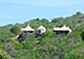 Villa Ferrari St. Vincent & The Grenadines Vacation Villa - Canouan