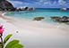 Sol Y Sombra Villa, Little Trunk Bay, Virgin Gorda, British Virgin Islands Vacation Rental