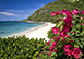 Villa on the Beach Virgin Gorda, British Virgin Islands Vacation Villa - Mahoe Bay