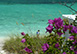 Windrose Guest House Caribbean Vacation Villa - Turks & Caicos