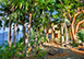 Treehouse at Steele Point British Virgin Islands Vacation Villa - Tortola
