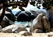 On the Rocks Villa Rental Virgin Gorda 