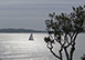 Baie d'Argent France Vacation Villa - St Tropez