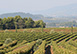 Bastide De La Tour France Vacation Villa - La Tour d'Aigues , Provence