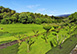 Bastide De La Tour France Vacation Villa - La Tour d'Aigues , Provence