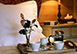 France Vacation Rental