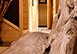 France Vacation Rental
