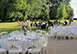 Chateau Burgundy France Vacation Villa