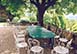 France Vacation Villa - nr. Siorac-en-Perigord, Dordogne