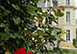 Chateau St Laurent France Vacation Villa -  Loire