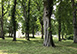 Chateau de Jalesnes France Vacation Villa - Vernantes, Loire Valley