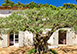 Domaine des Chataigniers France Vacation Villa - La Garde-Freinet, St Tropez