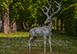 Chateau de Farcheville France Vacation Villa - Bouville