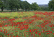 France Vacation Villa - nr Pernes Les Fontaines, Provence