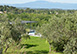 France Vacation Villa - nr Pernes Les Fontaines, Provence