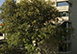 Tour Saracene France Vacation Villa - Cote D'azur