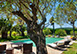 Villa Tiffany France Vacation Villa - St Tropez