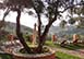 Greece Vacation Villa - Corfu