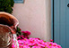 Greece Vacation Villa - Santorini