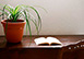 Greece Vacation Rental