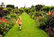 Ireland Vacation Villa - County Waterford