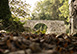 Ireland Vacation Villa - Rosecommon Castle