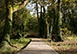 Ireland Vacation Villa - Rosecommon Castle