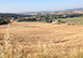 Agriturismo San Fabiano Siena, holiday villa, Tenuta Tuscany Region