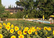 Agriturismo San Fabiano Siena, holiday villa, Tenuta Tuscany Region