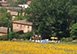 Agriturismo San Fabiano Siena, holiday villa, Tenuta Tuscany Region