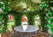 Italy Vacation Villa - Lucca , Tuscany