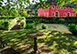 Italy Vacation Villa - Lucca , Tuscany